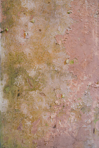 颜色 破裂 老年人 粉红色 油漆 材料 古老的 复古的 墙纸
