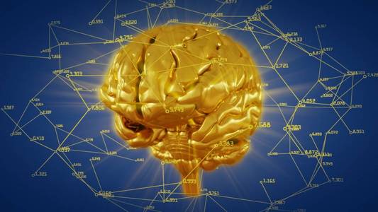 用计算数据和数学数据进行三维渲染