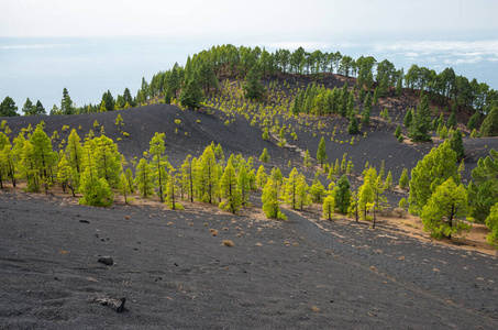 陨石坑 特内里费 首脑会议 天空 火山 路线 地标 罗克