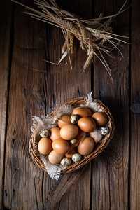 食物 农场 复活节 稻草 蛋白质 鸡蛋 篮子 农业 烹饪