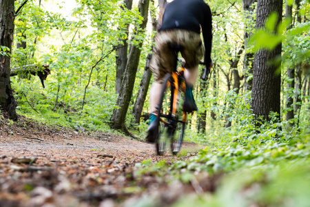 运动 森林 活动 追踪 男人 自行车 步行 行动 摩托车手