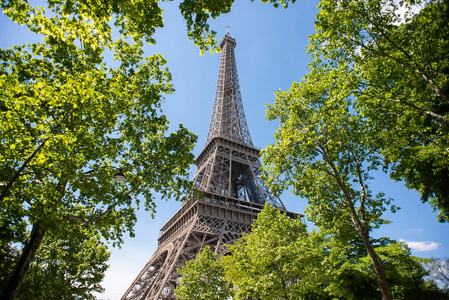 建筑学 法国 全景图 建筑 美丽的 树叶 埃菲尔铁塔 文化