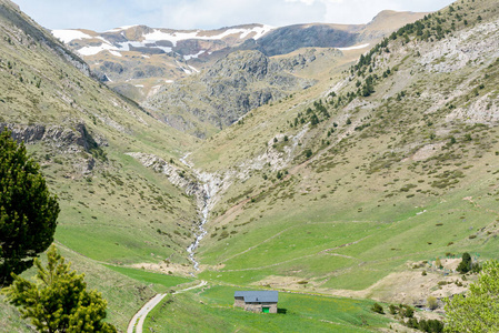 阿尔卑斯山 颜色 夏天 森林 维拉诺 美丽的 环境 自然