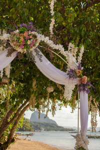 玫瑰 拱门 夏天 庆祝 亚洲 婚礼 热的 花束 风景 旅行