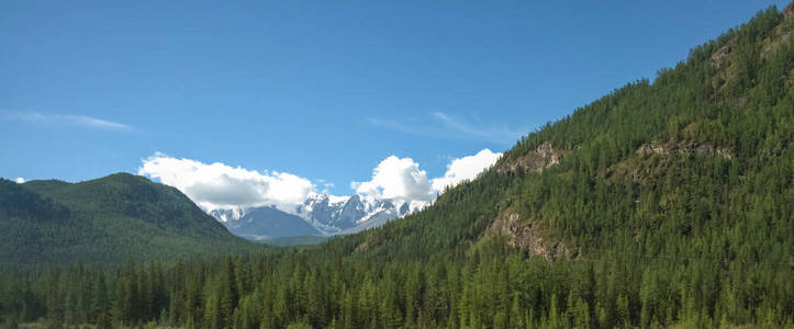 旅游业 丘陵 公园 阿尔泰 森林 风景 阿尔卑斯山 岩石