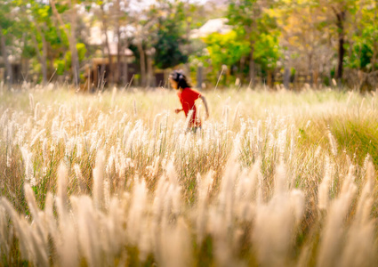 美丽的 跑步 闲暇 场景 乐趣 自然 小孩 肖像 自由 夏天