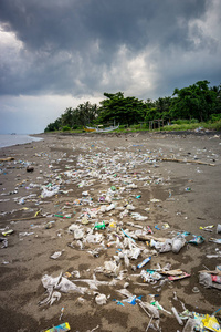垃圾 倾倒 自然 行业 塑料 亚洲 海滩 浪费 印度尼西亚