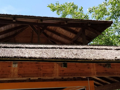 芦苇 旅游业 材料 藤条 小屋 村庄 纹理 老年人 屋顶