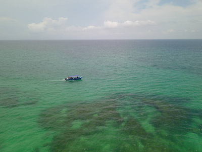 自然 假日 卡塔赫纳 钓鱼 海湾 目的地 海的 暗礁 假期