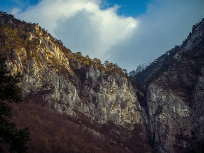 公园 旅行 自然 秋天 山谷 森林 旅游业 徒步旅行 美丽的