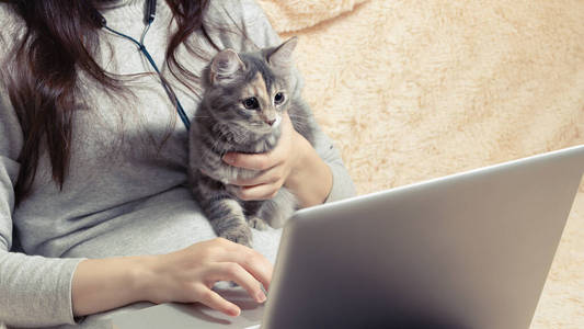 女孩在家里和她的小猫在沙发上用笔记本电脑工作。自由职业者和远程隔离概念
