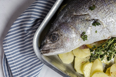地中海 准备 食物 自制 海鲜 海洋 烹调 烹饪 美味的