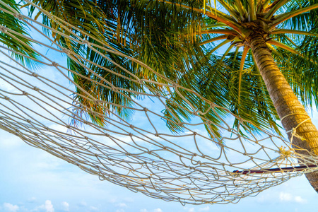 Empty hammock between palms trees at sandy beach