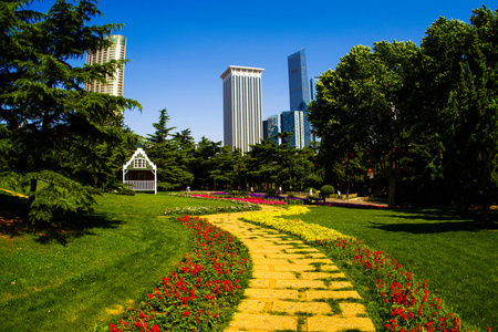 旅行 天空 旅游业 大连 繁荣 公寓 全景 天际线 公园