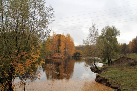 秋树倒映在乡村池塘的水面上图片