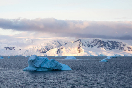南极洲的冰和海洋中的冰山图片