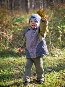 一个小男孩在秋天公园扔树叶图片
