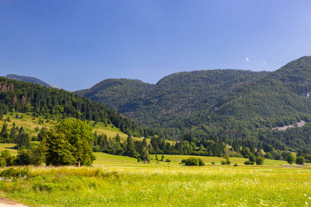特里格拉夫国家公园的夏日山景图片