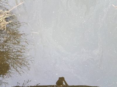 肮脏或浑浊的死水，有草和人的倒影照片