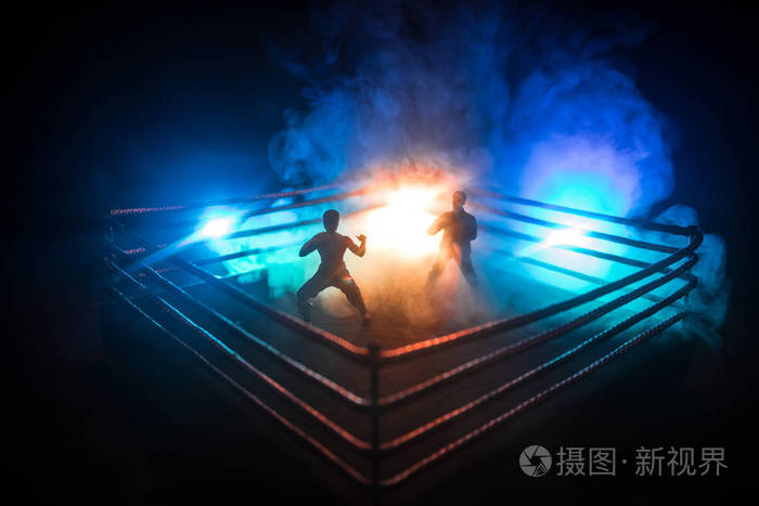 背景模糊.格斗八角台.环极限运动混合武术比赛