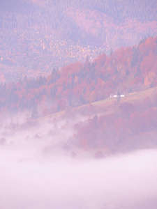 晴朗多雾的山区喀尔巴提亚村庄图片