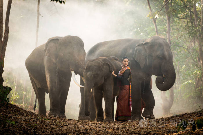 elephantandwomaninthailand