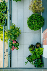 城市阁楼公寓阳台上的植物图片