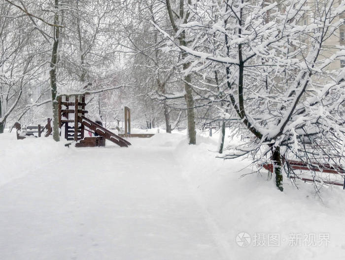 白天下雪后的城市公园