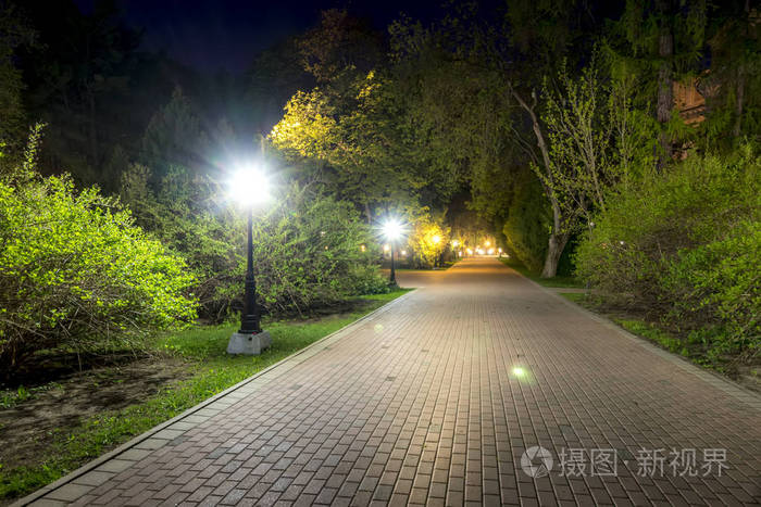 夏天的夜间公园.照片-正版商用图片2kny7a-摄图新视界
