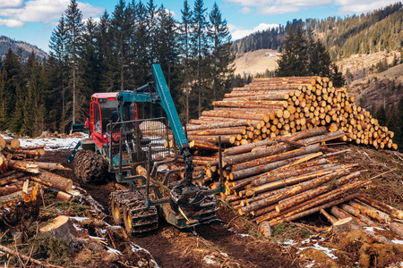 伐木工人在森林里锯伐木机图片