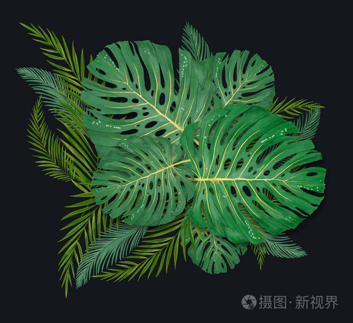 热带棕榈叶框架珊瑚背景夏季热带树叶异国情调的夏威夷丛林夏季背景