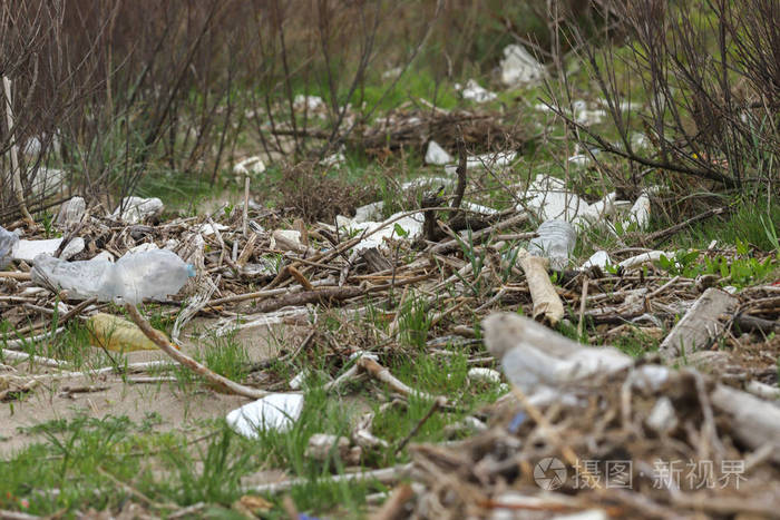 森林里的垃圾塑料污染森林环境问题生态学概念