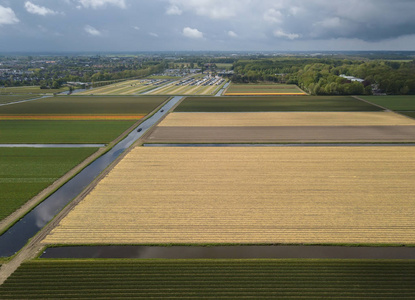 荷兰农村种植天然食物的农田图片