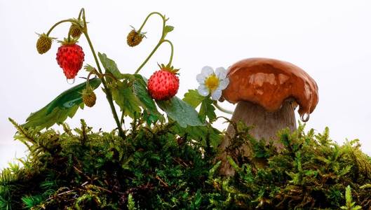 莱特尼新鲜的青苔蘑菇,草莓照片