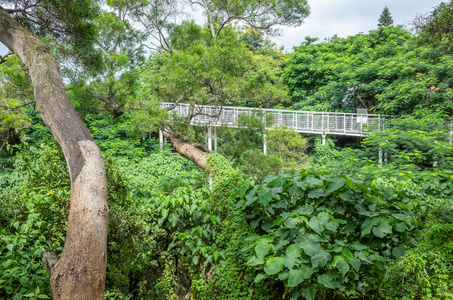 八卦山路著名景点图片