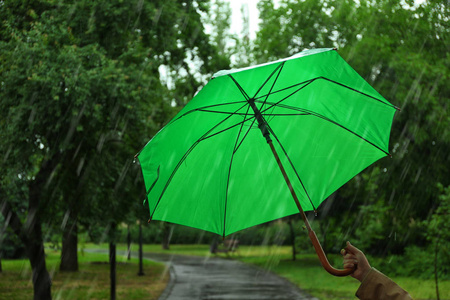 雨天公园里带着绿伞的女人图片