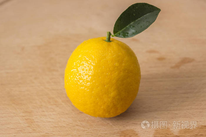 在木头上有一片小绿叶的柠檬卷叶栎的撕裂果实