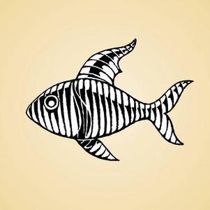 白色填充条纹鱼的水墨素描图片