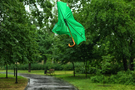 雨天公园里的破绿伞图片