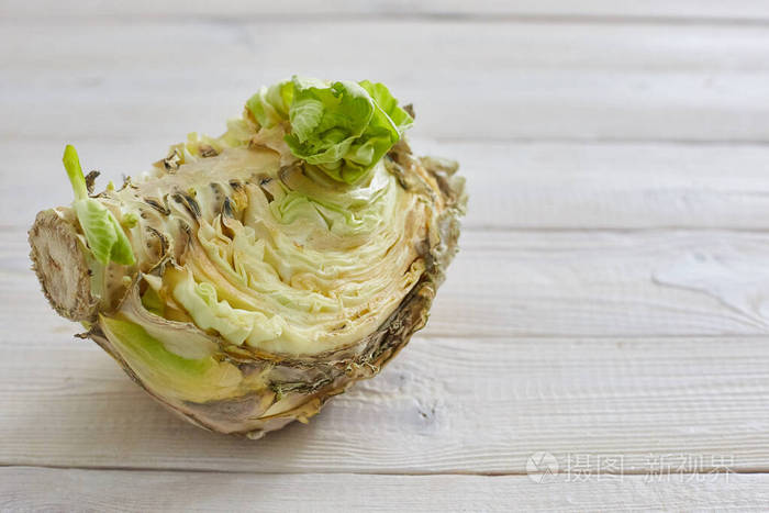 丑陋的水果和蔬菜坏了的卷心菜抄袭斯帕斯水平射击