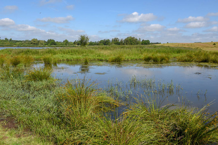 丹麦乡村池塘景观图片