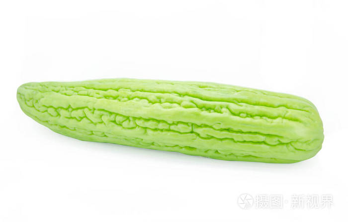 白底白皮苦瓜