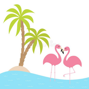 两个粉红色的红鹳起立向向e腿.胜利树,岛,洋