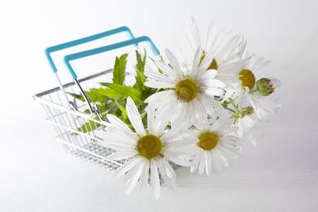 购物篮和雏菊向白色的背景