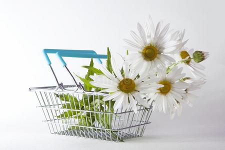 购物篮和雏菊隔离的向白色的背景