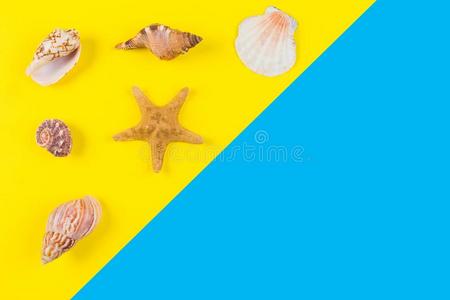 贝壳和海星向蓝色和黄色的背景.Vacati向