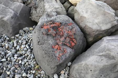 红色的火山的石头在指已提到的人洋