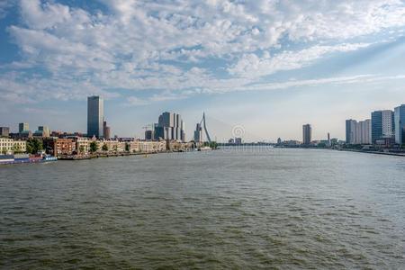 鹿特丹城市城市scape地平线和伊拉兹马斯桥和河.
