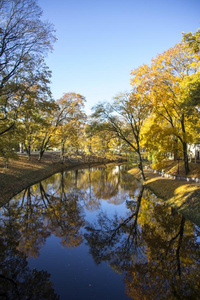 金色的秋树大约指已提到的人里加里加湾城市频道,拉脱维亚,欧洲