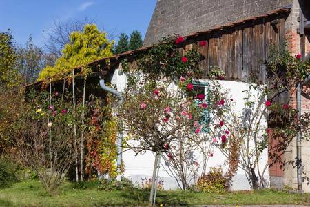 小屋建筑学在印度的夏